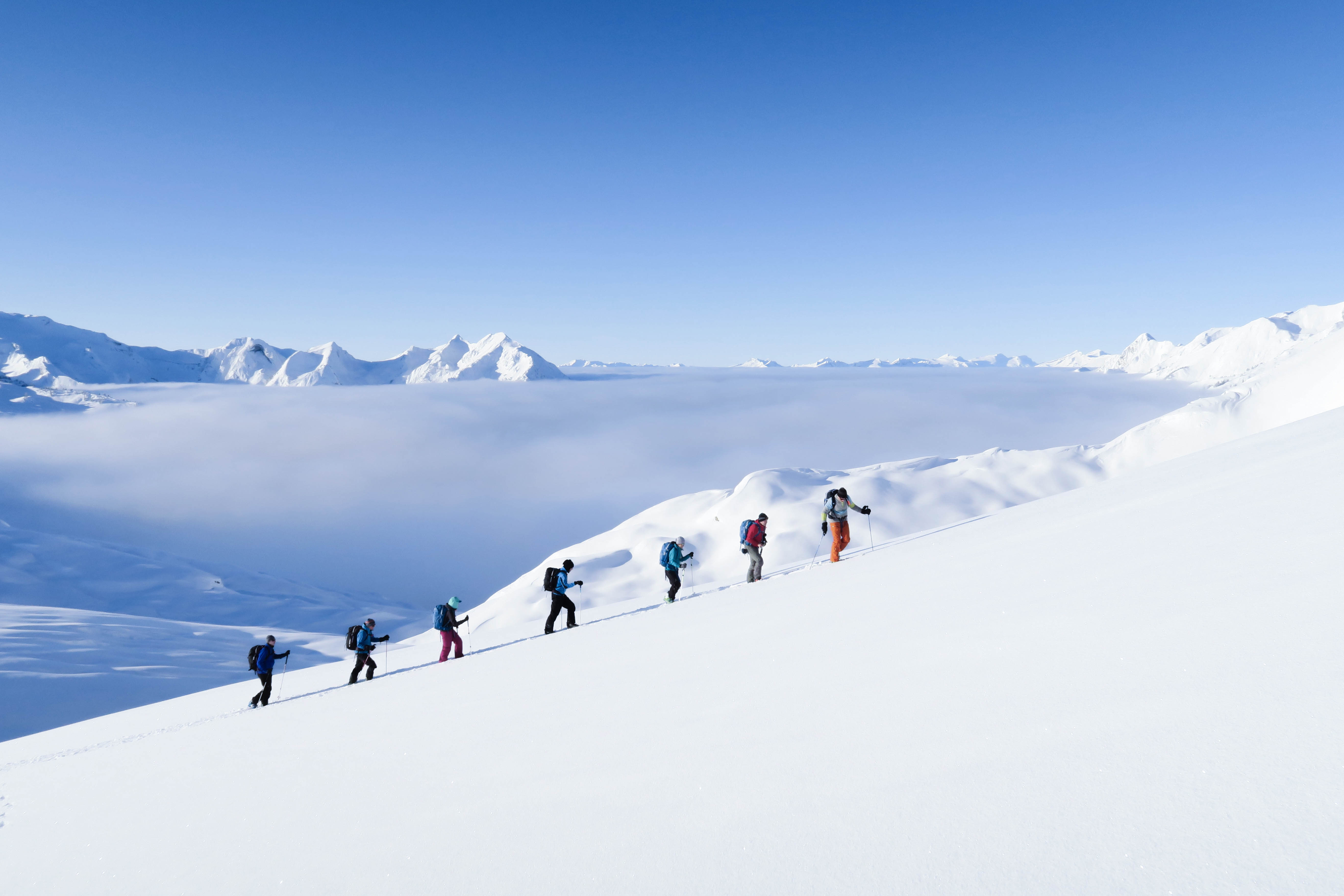 Cat Skiing on The Powder Highway