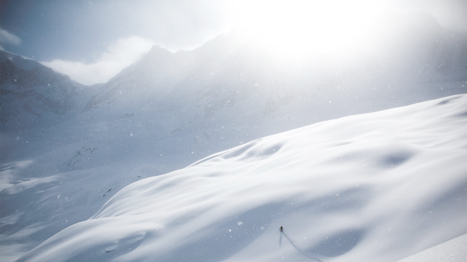 Powder Highway Official Site PowderHighway